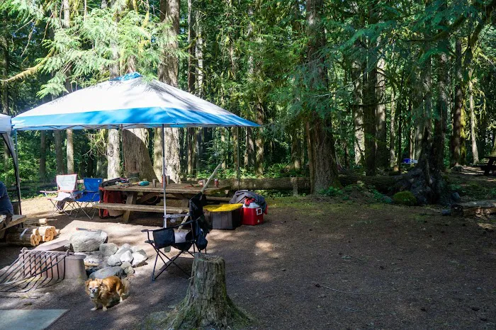 Camp Creek Campground Picture 7