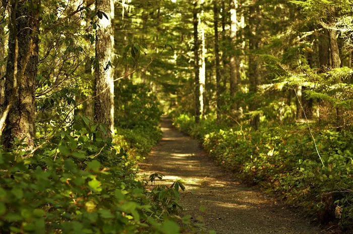 Camp Creek Campground Picture 19