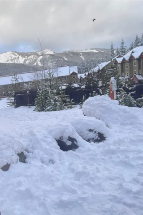 Government Camp Summit Sno Park Picture 1