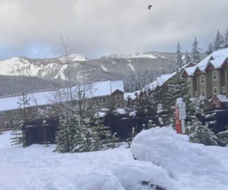 Government Camp Summit Sno Park