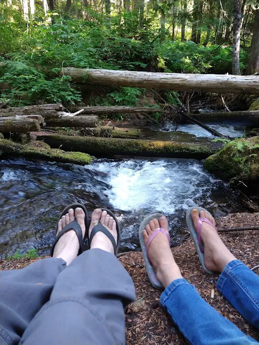 Still Creek Campground Picture 2