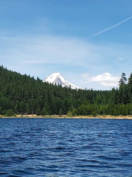 Still Creek Campground Picture 1