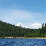 Still Creek Campground