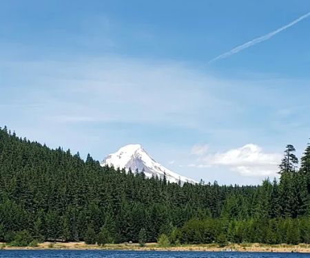 Still Creek Campground