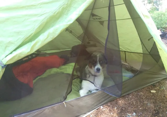 Still Creek Campground Picture 6