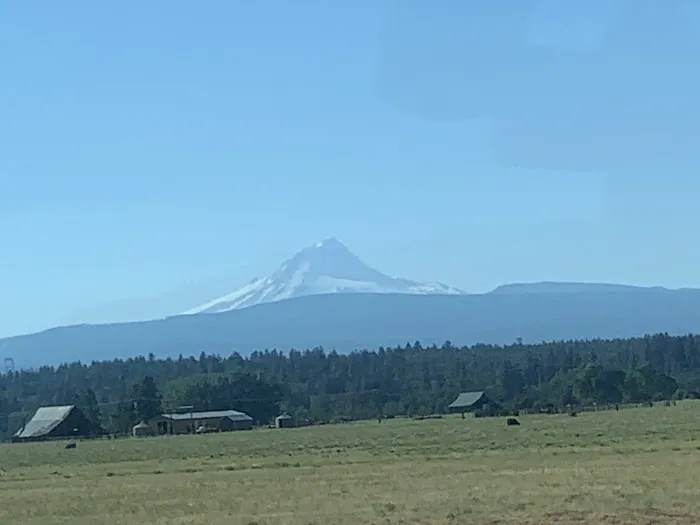 Still Creek Campground Picture 3