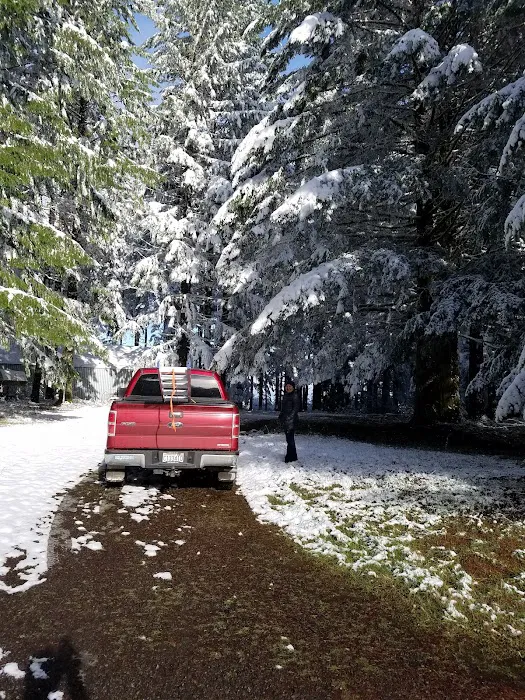 Still Creek Campground Picture 9