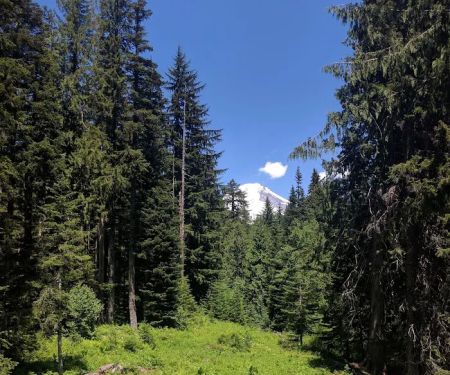 Trillium Lake Basin Cabin