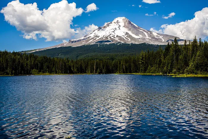 Trillium Lake Basin Cabin Picture 4