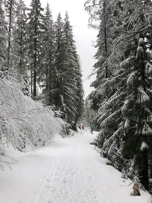 Trillium Lake Basin Cabin Picture 10