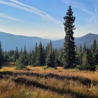 Camp Windy Campground ico