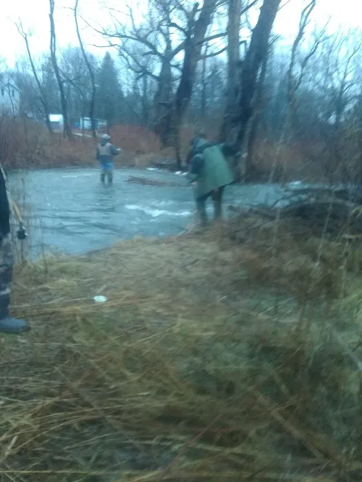 Rolling Acres Mobile Home Park Picture 2