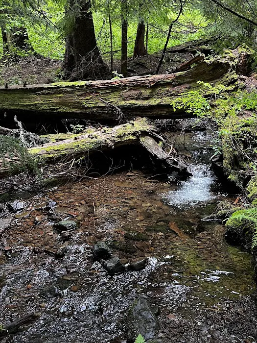 Devils Half Acre Campground Picture 10