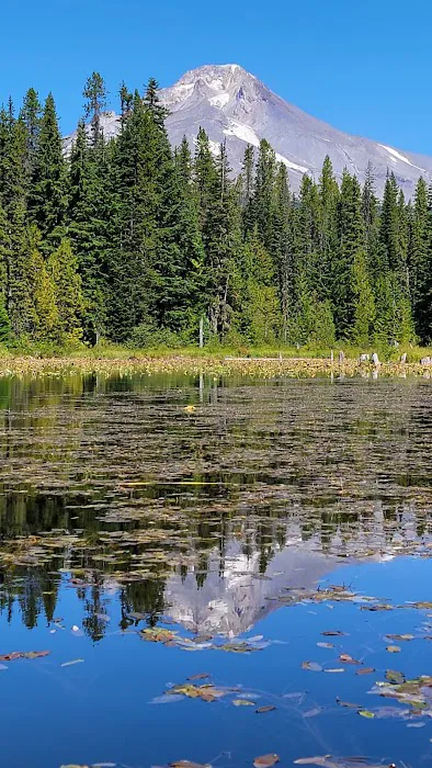 Trillium Campground Picture 1