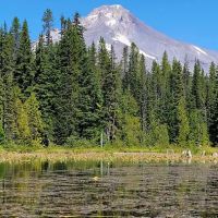 Trillium Campground ico