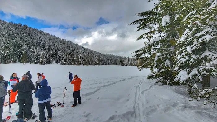 Trillium Campground Picture 3