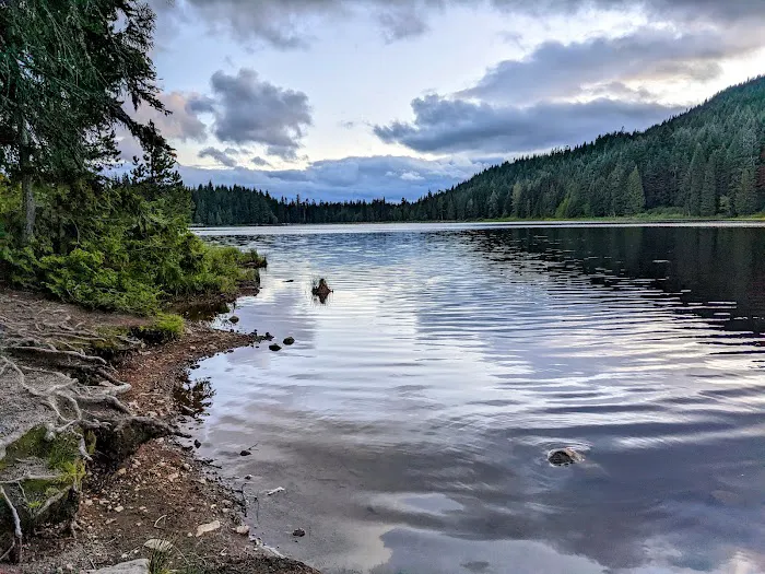 Trillium Campground Picture 5