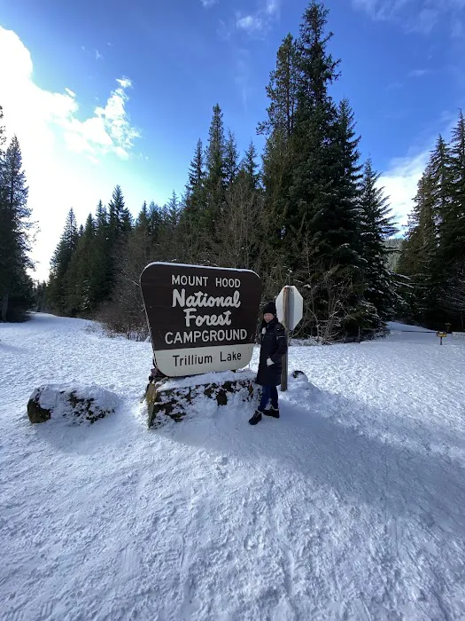 Trillium Campground Picture 6