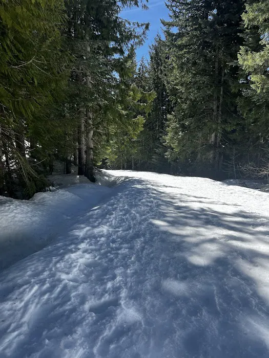 Trillium Campground Picture 7