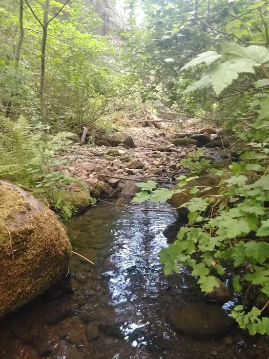 Little Badger Campground Picture 1