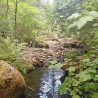 Little Badger Campground ico