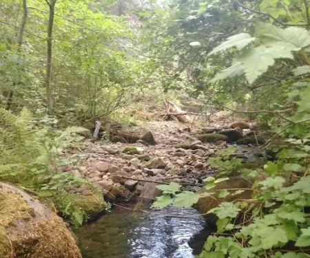 Little Badger Campground