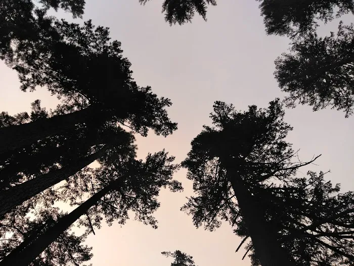 Little Badger Campground Picture 6