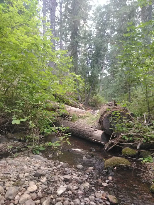 Little Badger Campground Picture 3