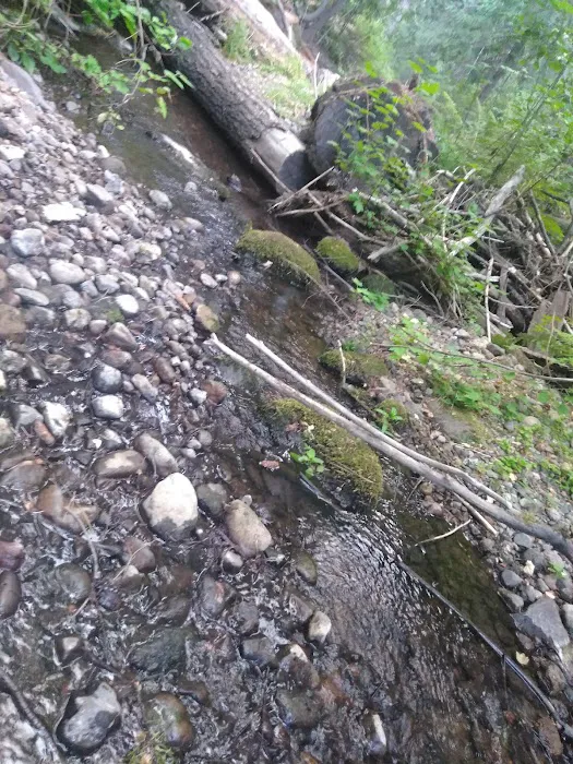 Little Badger Campground Picture 4