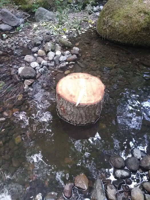 Little Badger Campground Picture 5