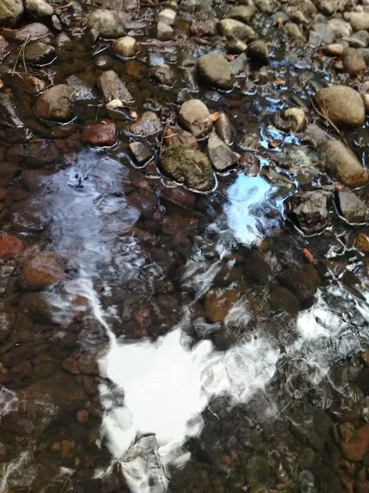 Little Badger Campground Picture 2