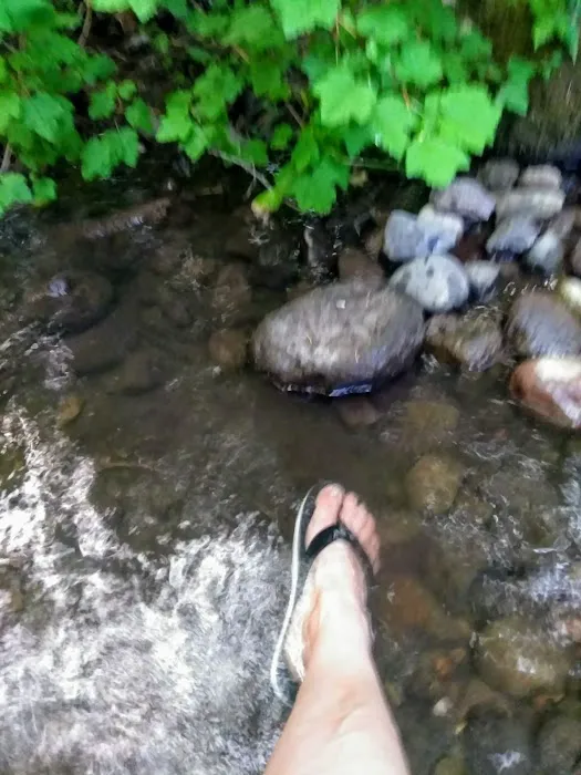 Little Badger Campground Picture 7