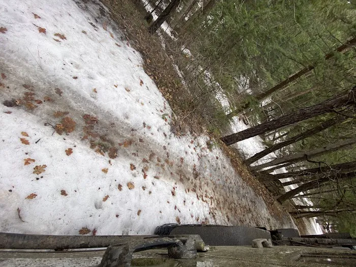 Little Badger Campground Picture 8