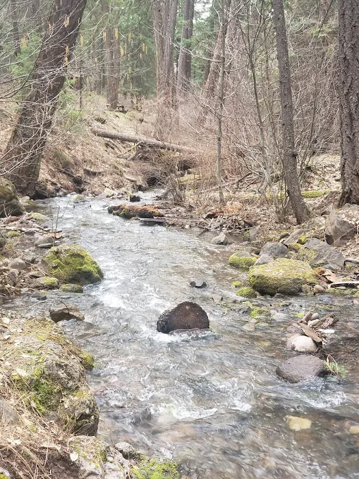 Little Badger Campground Picture 10