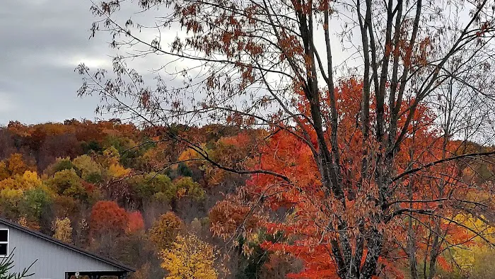 Oakwoods Manufactured Housing Community Picture 6