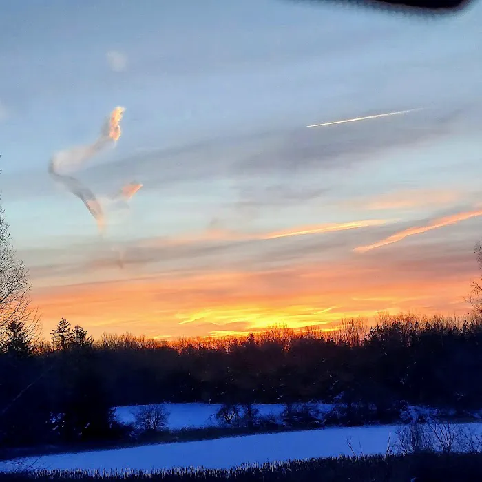 Oakwoods Manufactured Housing Community Picture 5