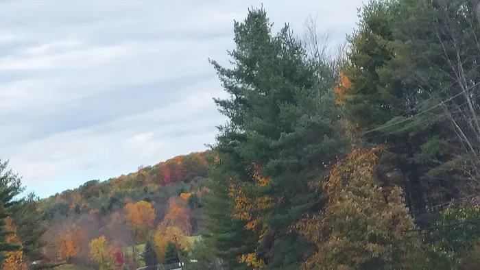 Oakwoods Manufactured Housing Community Picture 9