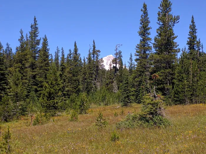 Bonney Meadow Campground Picture 8