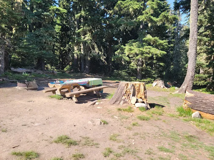Bonney Meadow Campground Picture 6