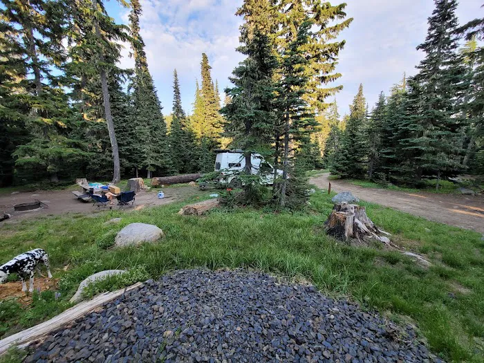 Bonney Meadow Campground Picture 9