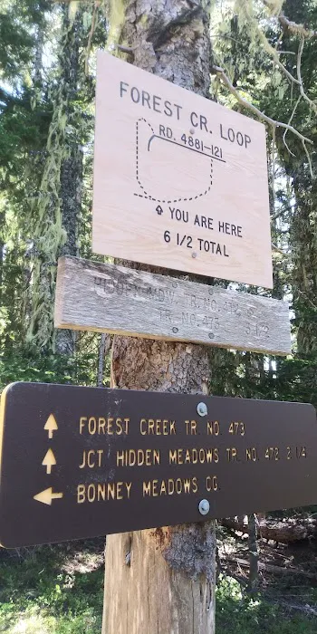 Boulder Lake Campground Picture 4