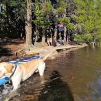 Boulder Lake Campground ico
