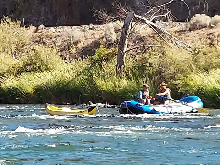Oak Springs Campground Picture 2