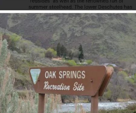 Oak Springs Campground
