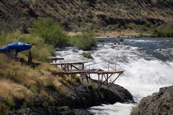 Oasis Camping Area Picture 1