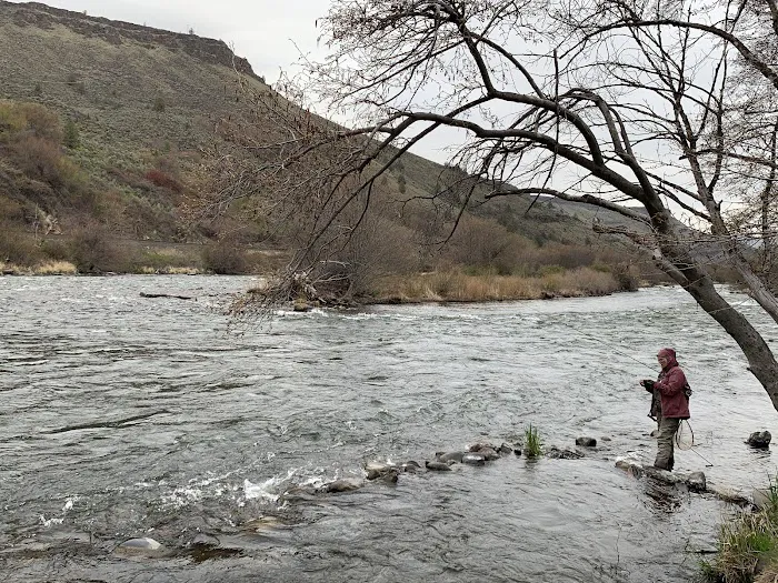 Oasis Camping Area Picture 6