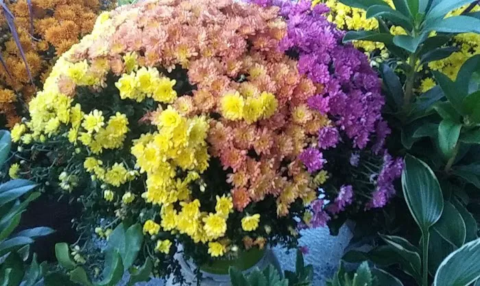 Stewart's Trailer Park Picture 8