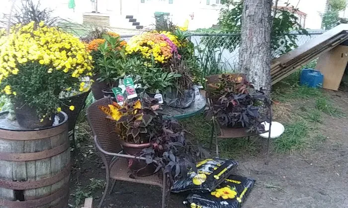 Stewart's Trailer Park Picture 7