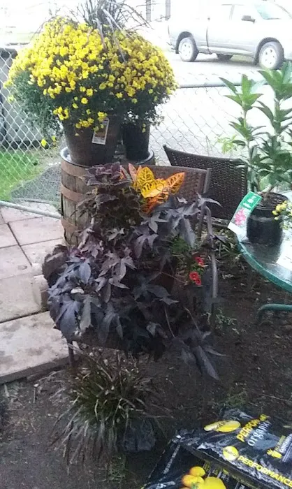 Stewart's Trailer Park Picture 6