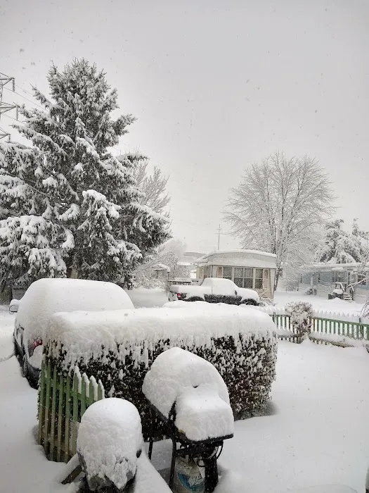 Stewart's Trailer Park Picture 5